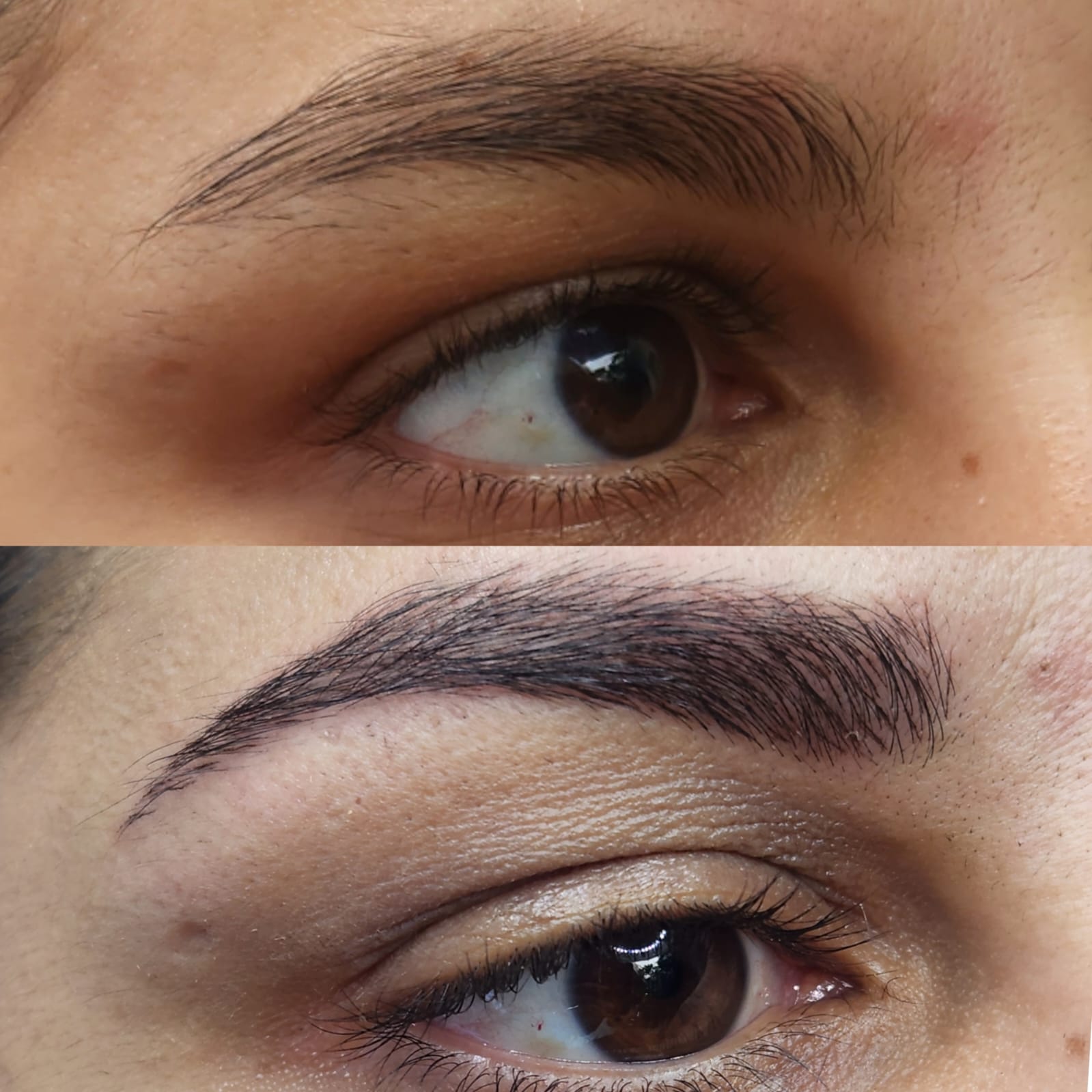 Micropigmentação em Santo André – SP | Sarita Messias